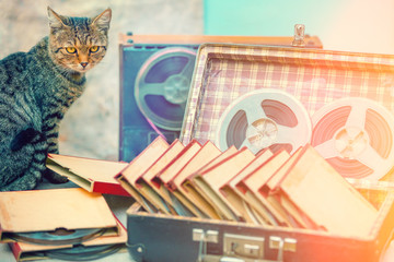cat sitting near a suitcase with music reels