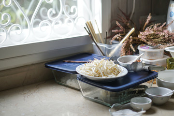 prepare for cooking noodle with many ingredients 