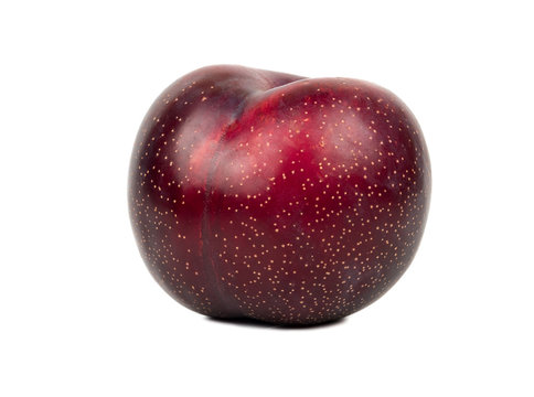 Big red plum