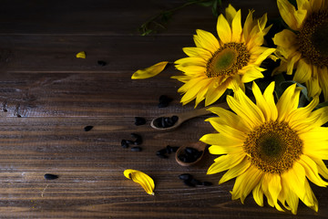 yellow sunflowers with seeds