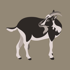 goat vector illustration flat style 