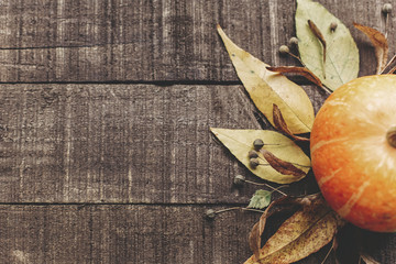 fall photo, beautiful pumpkin with leaves and berries on rustic wooden background, top view. space for text. thanksgiving or halloween concept greeting card flat lay. cozy autumn mood. holiday