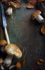 autumn cooking  background;  seasoning forest organic porcini Mushroom;