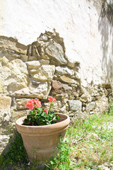 Fototapeta na wymiar exterior decoration of flowers and pots in greek style