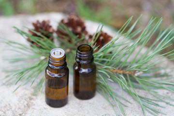 Pine essential oils for aromatherapy
