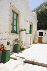 exterior decoration of flowers and pots in greek style
