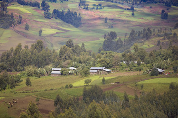 Farms and houses in the mountains of Ethiopia