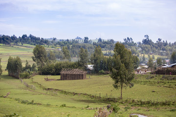 Fototapeta na wymiar Village and people building a house in rural Ethiopia