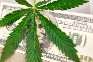 Element of bill of the American dollar with sheet of cannabis, marijuana. Money with  leaf of...