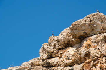 Close-up of stone rock with blue sky above with pigeons