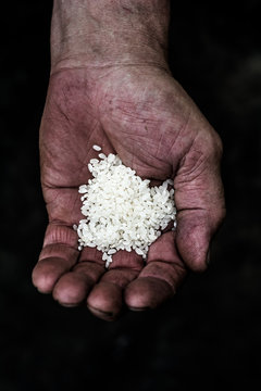 On the palm of a man is a lot of rice grains
