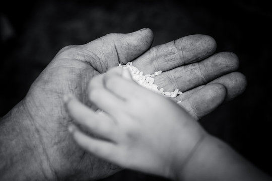 On the palm of the man lies a lot of rice grains. Children's hand picks one grain.
