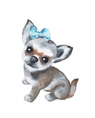 Watercolor cute dog