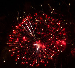 Fototapeta na wymiar Fireworks in Budapest