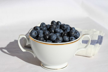 Freshly picked blueberries in a white vintage ceramic bowl. Selective focus. Free text space.