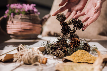 Pine cones. Health extract preparation process. Unrecognizable female, homemade medical ingredient in focus on foreground, medicament concept