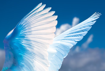 Light in flight