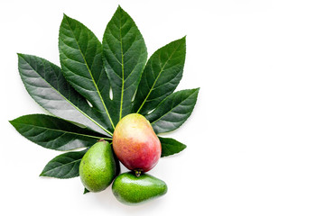 Tropical fruits background. Mango near exotic leaf on white top view copyspace