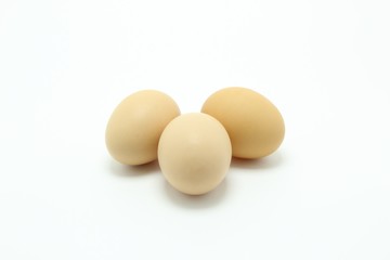 eggs