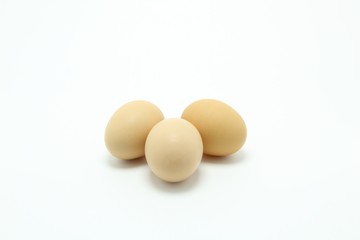 eggs