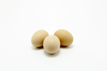 eggs