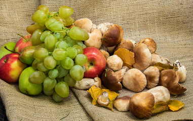 autumn still life of grapes, apples and mushrooms on rough fabric