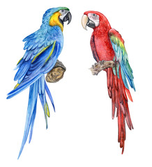 Obraz premium Blue-yellow macaw. Red-and-green winged macaw. A parrot. Birds isolated on white background. Watercolor. Illustration. Picture. Form