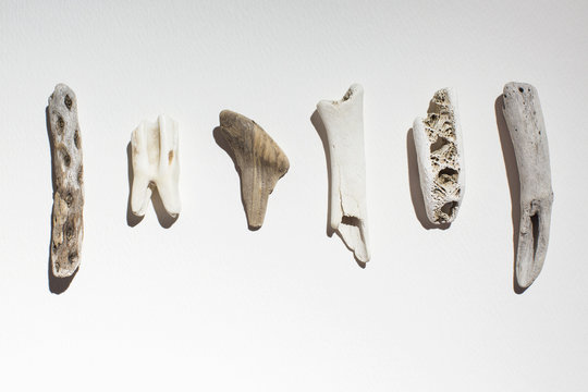 the remains of the day....