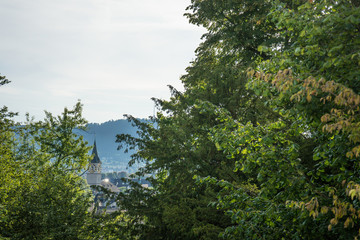 big tree with old town of Zurich, Switzerland from University hill in summer