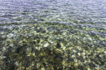 Background of sea water in shallow water