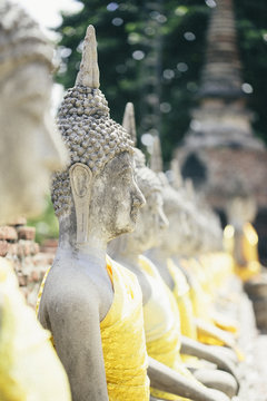 Buddhas in a row in Ayutthaua