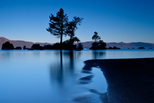 Celebrate Blue