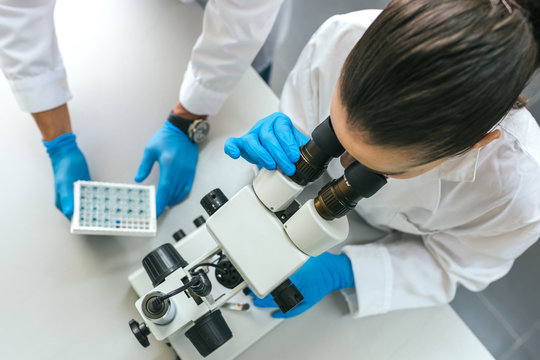 Young Researchers Working in a Professional Laboratory