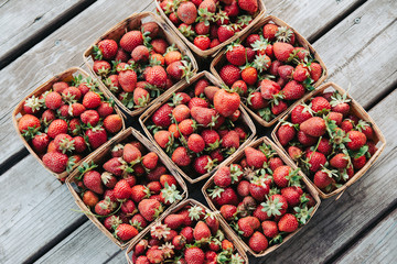 Fresh picked strawberries in garden boxes.