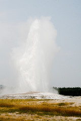 Old Faithful