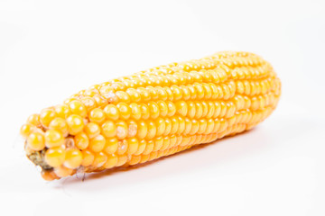 Corncob on a white background