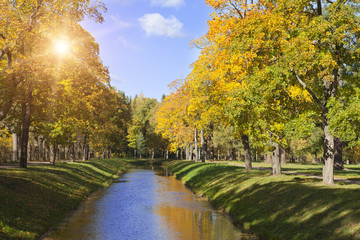 river in the autumn park