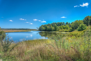Obraz na płótnie Canvas Marsh pond