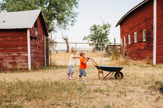 Wheelbarrow Work