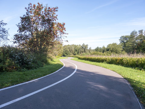 Fototapeta Winding asphalt road with white line in park surrounded with trees from surface view