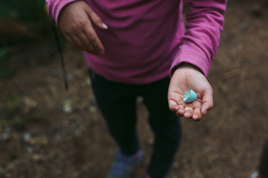 Young girls hand holding broken robin egg