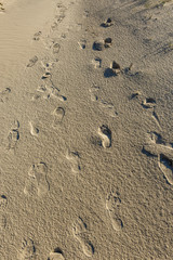 Footprints in the sand beach. Road in dune