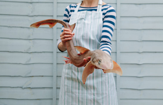 Woman fishmonger holding a dogfish shark