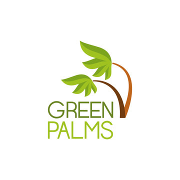 Green palms symbol icon vector illustration graphic design