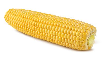 Fresh corn isolated on white background