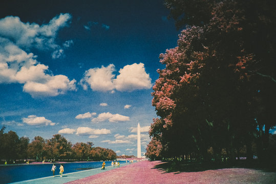 DMV in Infrared