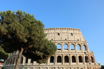 Obraz premium Colosseo Roma Italia