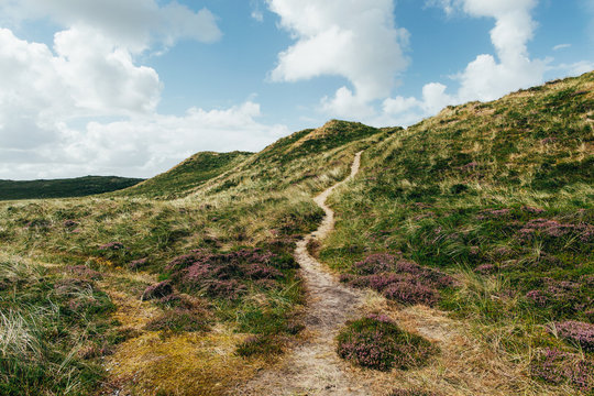 Path in Grassy Dune Landscape on Sylt Island (North Germany)