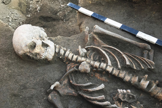 Archaeological excavations and finds (bones of a skeleton in a human burial),  working tool, ruler, arrow direction north, a detail of ancient research, prehistory.