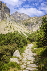 Fototapeta na wymiar Scenic view of the High Tatras in Slovakia